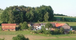 Moierhof