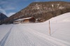 Bauregger-Winter