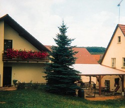 Haus Drikitis