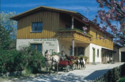 Reiterhof Donabauer