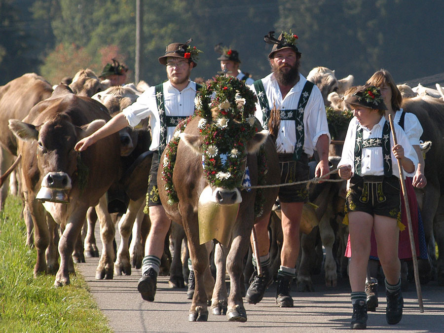 Viehscheid Bolsterlang