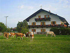 Rummelbartlhof