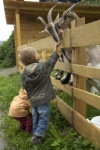 Bildergalerie--Tiere