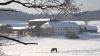 gowerlhof_winter
