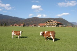 Alpenparadies 