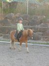 Pony Luca- Hochgallinger Hof