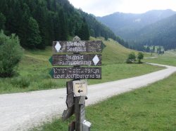 Wanderschild