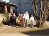 Pony Felix & Friends