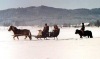 Schlittenfahrt im Winter