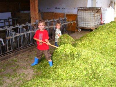 Unsere Ferienkinder helfen beim Füttern Unsere Ferienkinder helfen beim Füttern