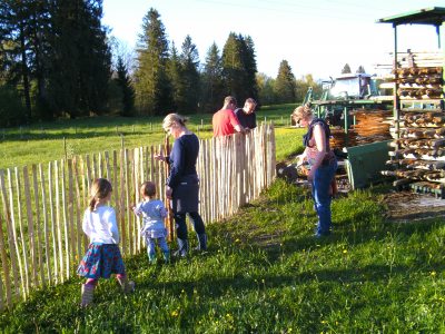 Fleißige Helfer bei der Arbeit Fleißige Helfer bei der Arbeit