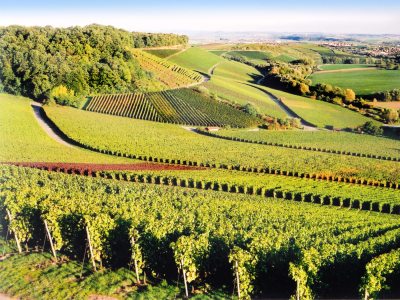 Blick vom Heuchelberg in Kraichgau-Stromberg (© Kraichgau-Stromberg Tourismus e.V. ) Blick vom Heuchelberg in Kraichgau-Stromberg (© Kraichgau-Stromberg Tourismus e.V. )