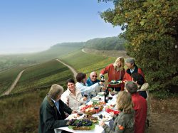 Erlesenes geniessen im Heilbronner Land Mitten in den Weinbergen schmeckt Regionales besonders lecker.�