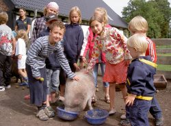 Bauernhof Erlebnis Kinder