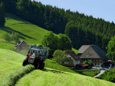 Heuernte im Schwarzwald Heuernte im Schwarzwald
