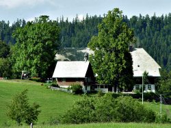 Schwarzwald