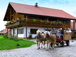 Kutschfahrt auf dem Ferien- und Reiterhof Rösch