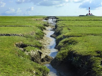 Nordsee_Entwässerungsgräben_opt Nordsee_Entwässerungsgräben_opt