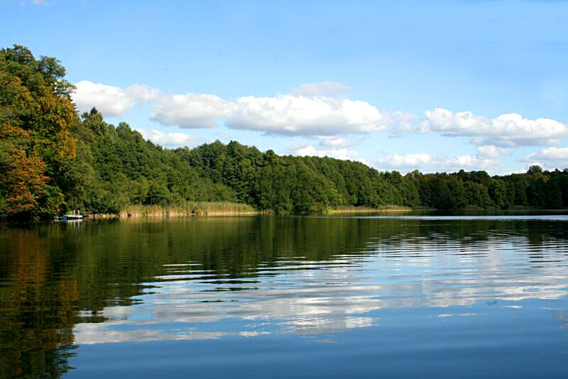 See Chorin