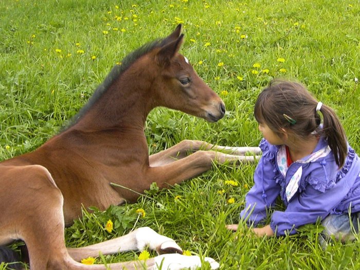 Kind mit Fohlen
