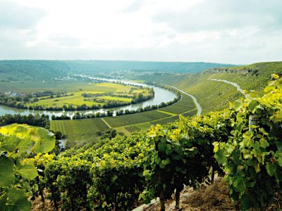 Neckarschleife Neckarschleife