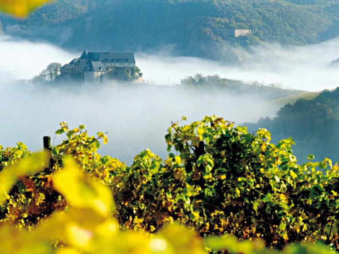 Mittelalterliche Burgen an Rhein und Mosel.Umgeben von Weinbergen und lichten Wäldern. Genießen Sie ritterlichen Urlaub auf Winzer- und Bauernhöfen.