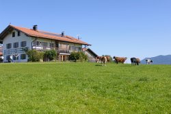 Bauernhof