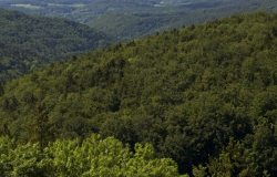 Frankenwald