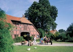 In Wald, Flur & Heide