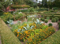 Bauerngarten