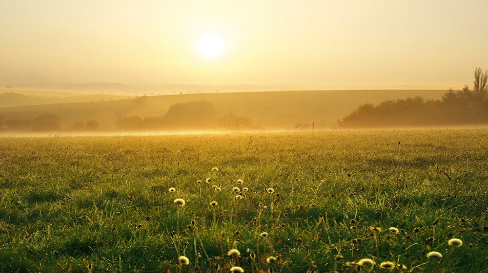 Landschaft im Mittelgebirge