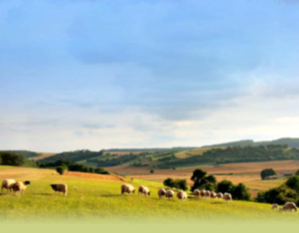 Hessen