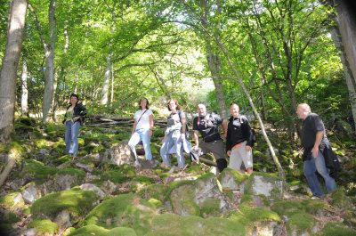 Soonwaldsteig Hunsrück Soonwaldsteig Hunsrück