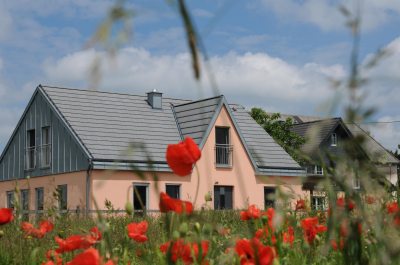 Blumenwiese am Ferienhaus (&copy; LAG RP )