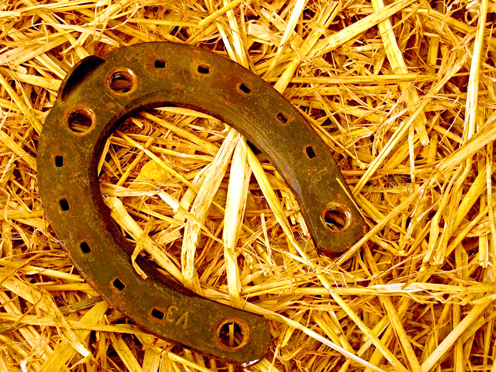 Hufeisen im Stroh (&copy; © Fotolia )