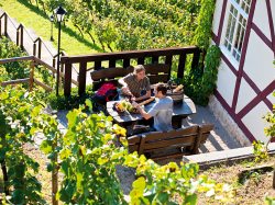 Pause in den Rebstöcken des Herzöglichen Weinberg