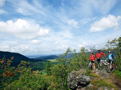 Mountainbiketour im Thüringer Wald (© Thüringer Tourismus GmbH : Lars Schneider ) Mountainbiketour im Thüringer Wald (© Thüringer Tourismus GmbH : Lars Schneider )