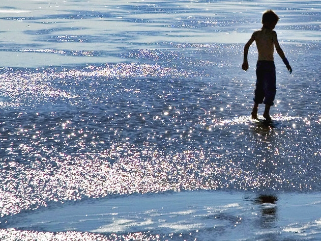 nordsee_wattenmeer_opt_ausschnitt_631x473