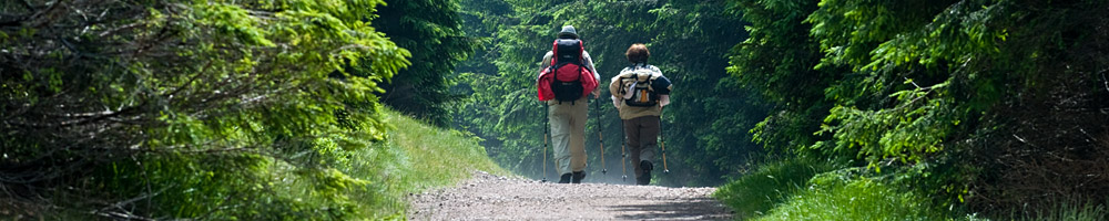 Rennsteigwanderer (&copy; Thüringer Tourismus GmbH : Toma Babovic )