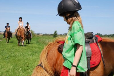 Mein_kleines_Pony (© LANDURLAUB M-V : LANDURLAUB M-V ) Mein_kleines_Pony (© LANDURLAUB M-V : LANDURLAUB M-V )