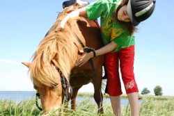 Reiterferien für Kinder