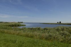 Boddenlandschaft (&copy; LANDURLAUB M-V : Hr. Falken )