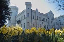 Schloss & Burg
