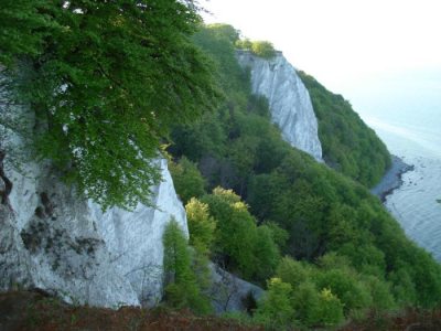 Kreidefelsen (© LANDURLAUB M-V : Monika Hoffmann ) Kreidefelsen (© LANDURLAUB M-V : Monika Hoffmann )