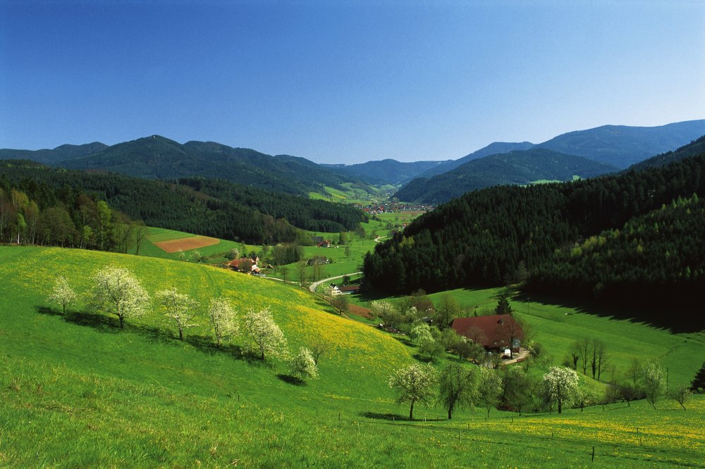 Frühjahr im ZweiTälerLand im Schwarzwald (&copy; ZweiTälerLand Tourismus )