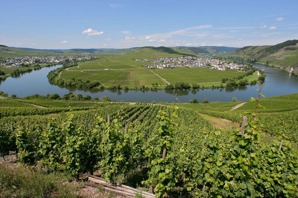 Trittenheim an der Mosel: rp- Piel Media Holzfeld-Boppard