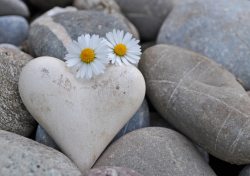 Wellness- & Gesundheitshof