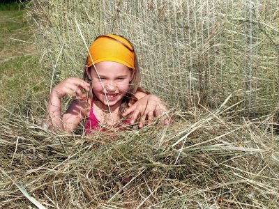 Im Heu ist es echt cool© St-Fotograf – fotolia.com (&copy; Fotolia : st-fotograf )