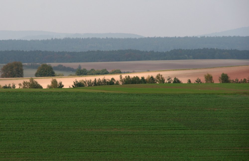 steigerwald-hassberge_ausschnitt_1395x906 (&copy; LAG Bayern : LAG Bayern )