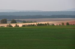 Steigerwald